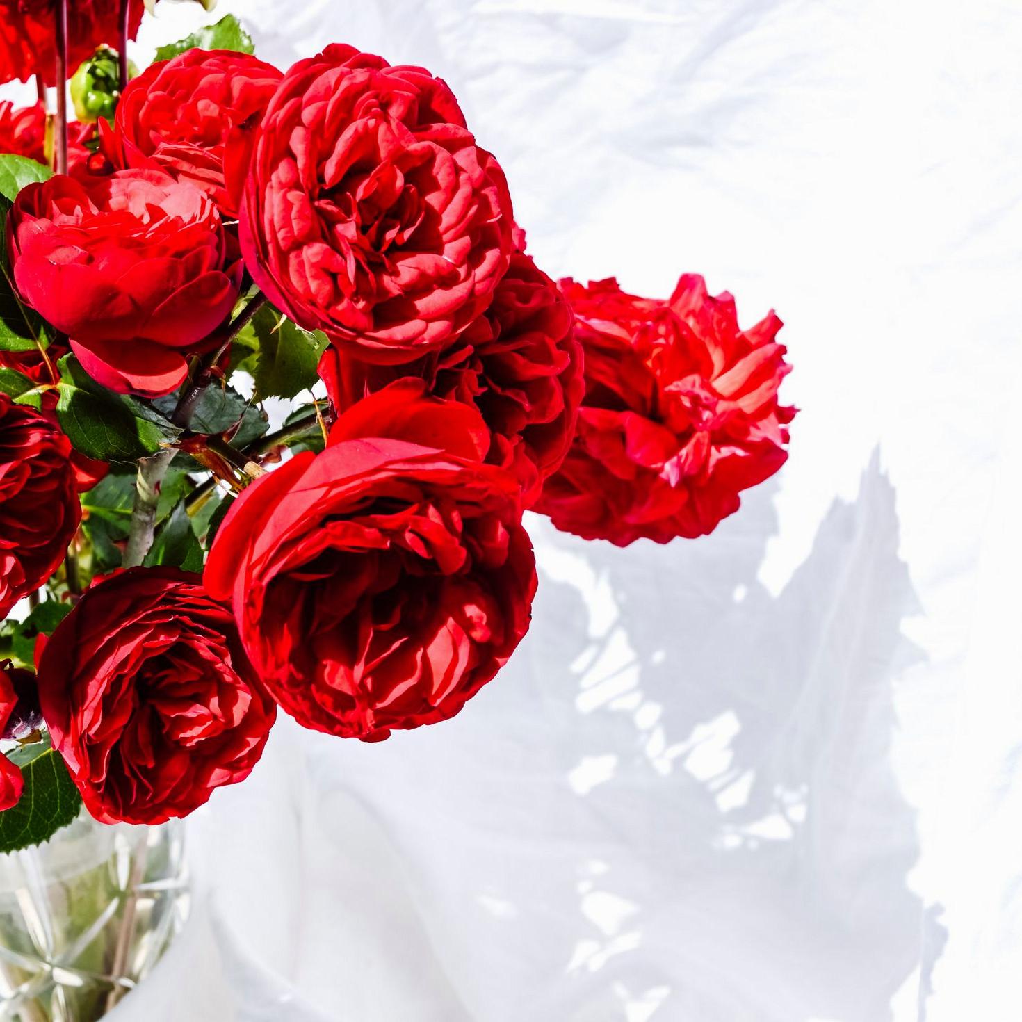 Romance flowers